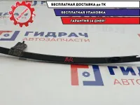 Направляющая стекла двери задней правой Chevrolet Lacetti 96548530.