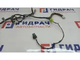 Проводка двери передней правой Chevrolet Lacetti 96613935. Дефект.