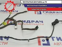 Проводка двери задней правой Chevrolet Lacetti 96613942.