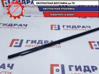 Молдинг передней левой двери Chevrolet Lacetti 96545651.