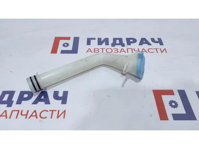 Горловина бачка омывателя Chevrolet Lacetti 96550799.