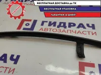 Направляющая стекла двери задняя левая Chevrolet Lacetti 96548529.