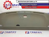 Полка салона задняя Chevrolet Lacetti 96393113.