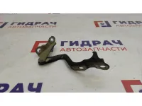 Петля капота левая Chevrolet Lacetti 96417504.