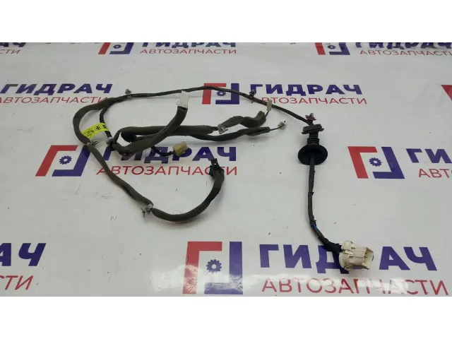 Проводка двери задней правой Chevrolet Lacetti 96613946.
