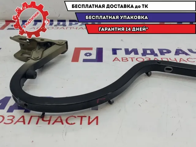 Петля крышки багажника левая Chevrolet Lacetti 96548816.