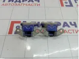Петли двери задней левой Chevrolet Rezzo