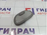 Плафон салонный задний Chevrolet Rezzo 96264357