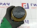 Бачок гидроусилителя Chevrolet Rezzo