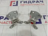 Петли двери задней левой Chevrolet Rezzo