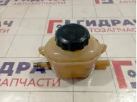 Бачок гидроусилителя Chevrolet Rezzo 96390409
