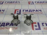Петли двери передней правой Chevrolet Rezzo