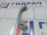 Ручка внутренняя потолочная Chevrolet Spark (M200)