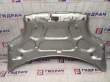Капот Chevrolet Spark (M200) 96602004