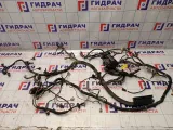 Проводка подкапотная Chevrolet Spark (M200)