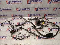 Проводка подкапотная Chevrolet Spark (M200)