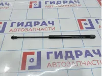 Амортизатор двери багажника Chevrolet Spark (M200) 96563503