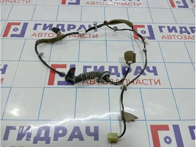 Проводка двери передней левой Chevrolet Spark (M200) 96590299
