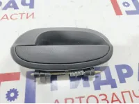 Ручка двери задней наружная левая Chevrolet Spark 96601474.