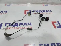 Проводка двери задней правой Chevrolet Spark 96590333.