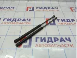 Амортизатор двери багажника Chevrolet Spark 96563503. Комплект.