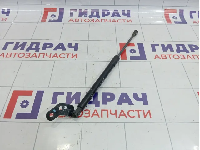 Амортизатор двери багажника левый Chevrolet Spark (M300) 95962017