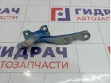 Петля капота левая Chevrolet Spark (M300) 95962308