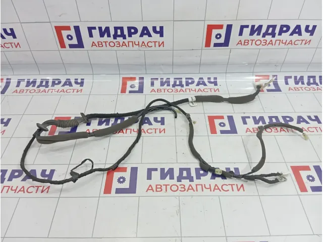 Проводка двери багажника Chevrolet Spark (M300) 95054858
