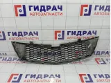 Решетка радиатора Chevrolet Spark (M300) 95961865