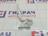 Петля капота левая Chevrolet Spark 95962308