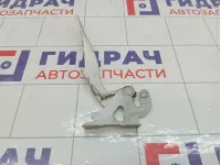 Петля капота левая Chevrolet Spark 95962308