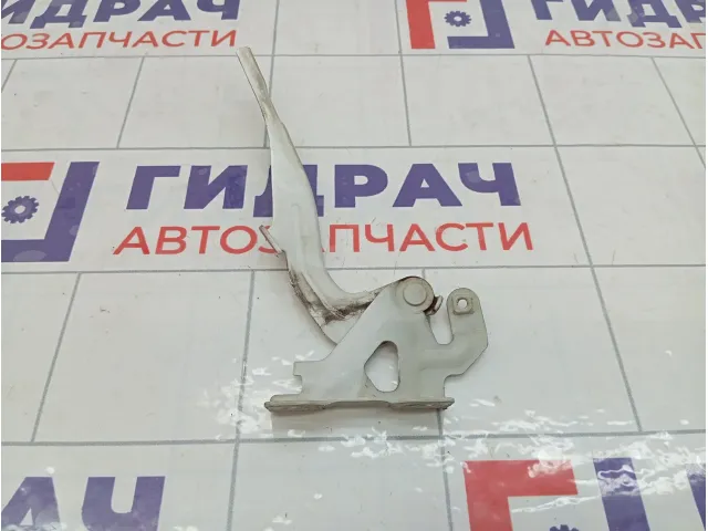 Петля капота левая Chevrolet Spark 95962308
