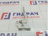 Петля капота левая Chevrolet Spark 95962308