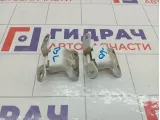 Петли двери задней левой Chevrolet Spark