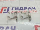 Петли двери задней левой Chevrolet Spark