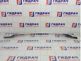 Рейлинг правый Chevrolet Spark 95983780