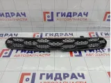 Решетка радиатора Chevrolet Spark