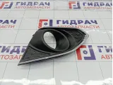 Рамка противотуманной фары передней левой Chevrolet Spark 95214495