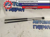 Амортизатор стекла багажника Chevrolet Tahoe 2008