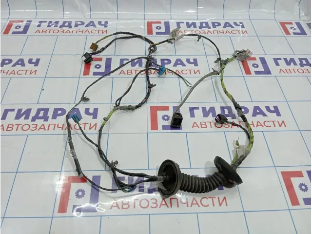 Проводка двери передней правой Chevrolet Tahoe (GMT900) 25843478