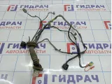 Проводка двери задней левой Chevrolet Tahoe (GMT900) 15297243