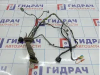 Проводка двери задней левой Chevrolet Tahoe (GMT900) 15297243