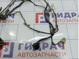 Проводка двери задней левой Chevrolet Tahoe (GMT900) 15297243