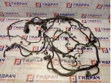 Проводка двигателя Chevrolet Tahoe (GMT900) 25884904
