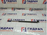 Амортизатор крышки (двери) багажника Chevrolet Tahoe 15854712