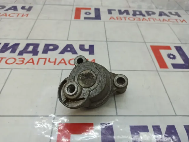 Ролик-натяжитель ремня Chevrolet Tahoe 12609719