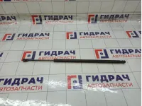 Амортизатор капота Chevrolet Tahoe 25876306