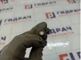 Форсунка инжекторная Chevrolet Tahoe 12580681