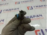 Форсунка инжекторная Chevrolet Tahoe 12580681