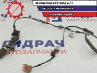 Проводка двери задней левой Chevrolet Spark 96398766.